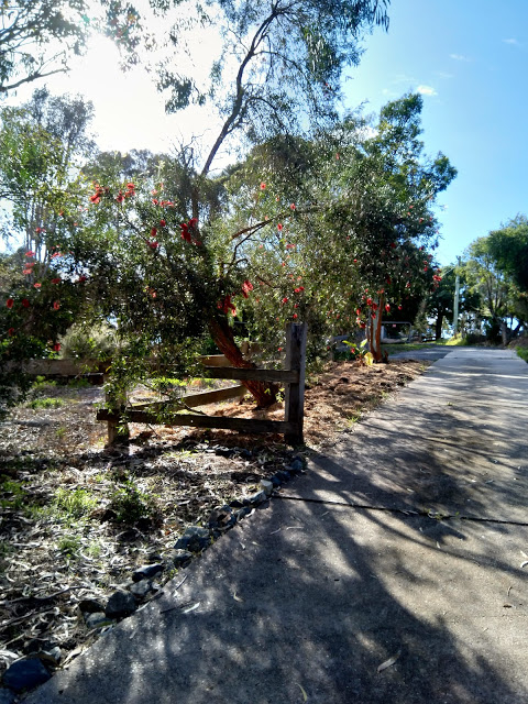 Tilba's Heritage Walk to Brunch