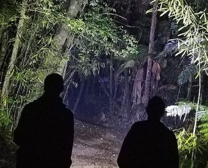 Guided Night Walk on Country  
