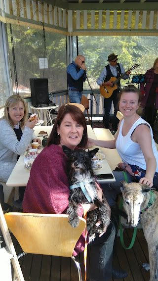 Tilba's Taste of Town & Country