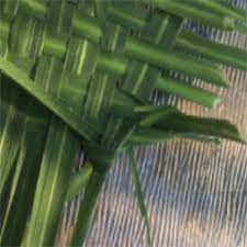 Unearthed Weaving Culture AHF2025