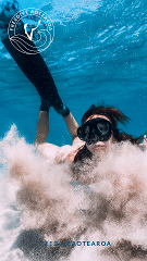 Kai Iwi Freedive course