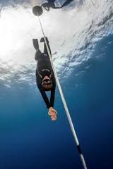 3 Day Freedive Adventure at the Poor Knight Islands Bay of Islands and Cavalli Islands  - Highly rated