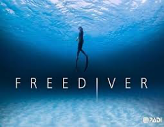 Freediver Course + Bay of Islands Adventure