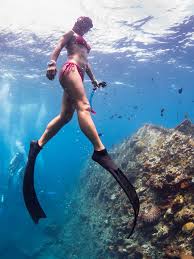 Freediving Taster day