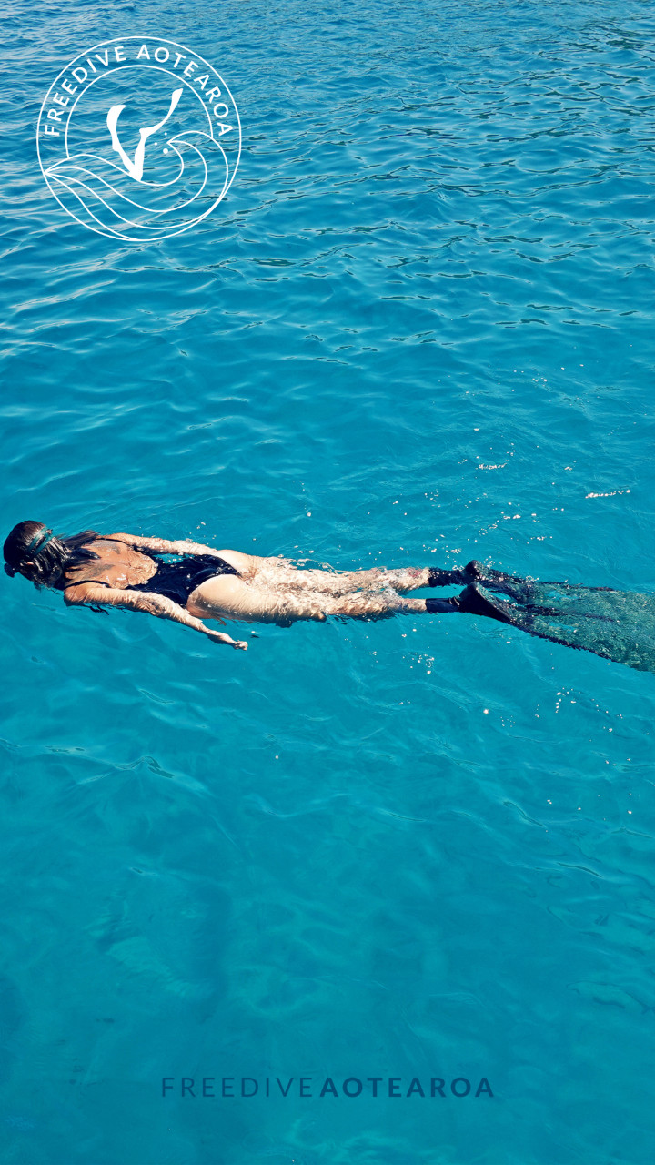 Freedive Instructor course 
