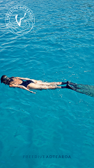 Freedive Instructor course 