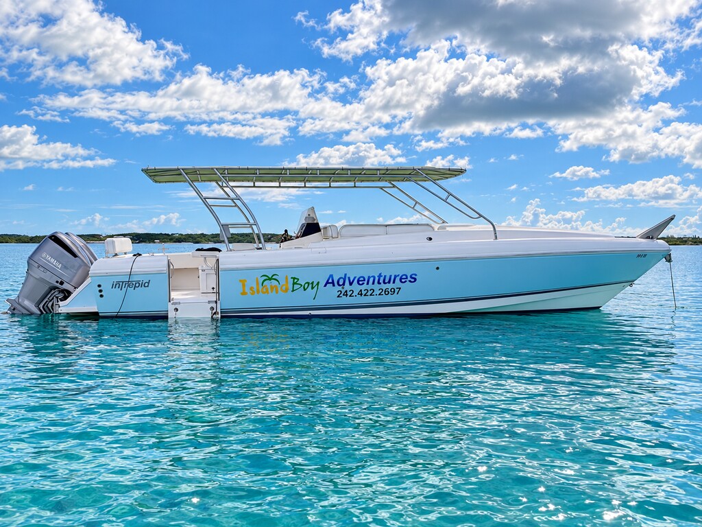 Intrepid Full Day Pigs Tour (PRIVATE CHARTER)