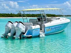 38ft Intrepid 