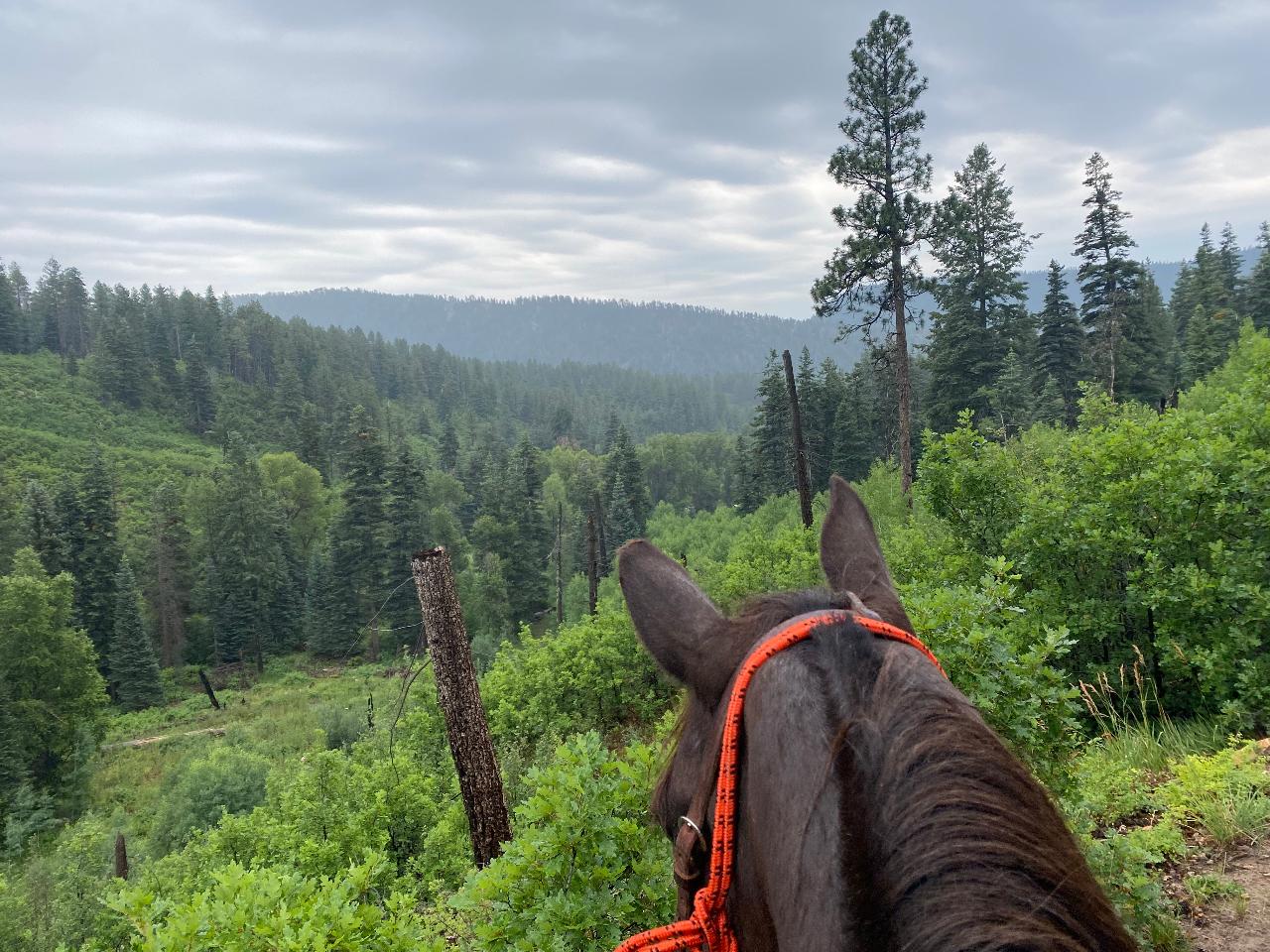 Cowboy Gathering Trail Ride