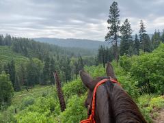 Cowboy Gathering Trail Ride