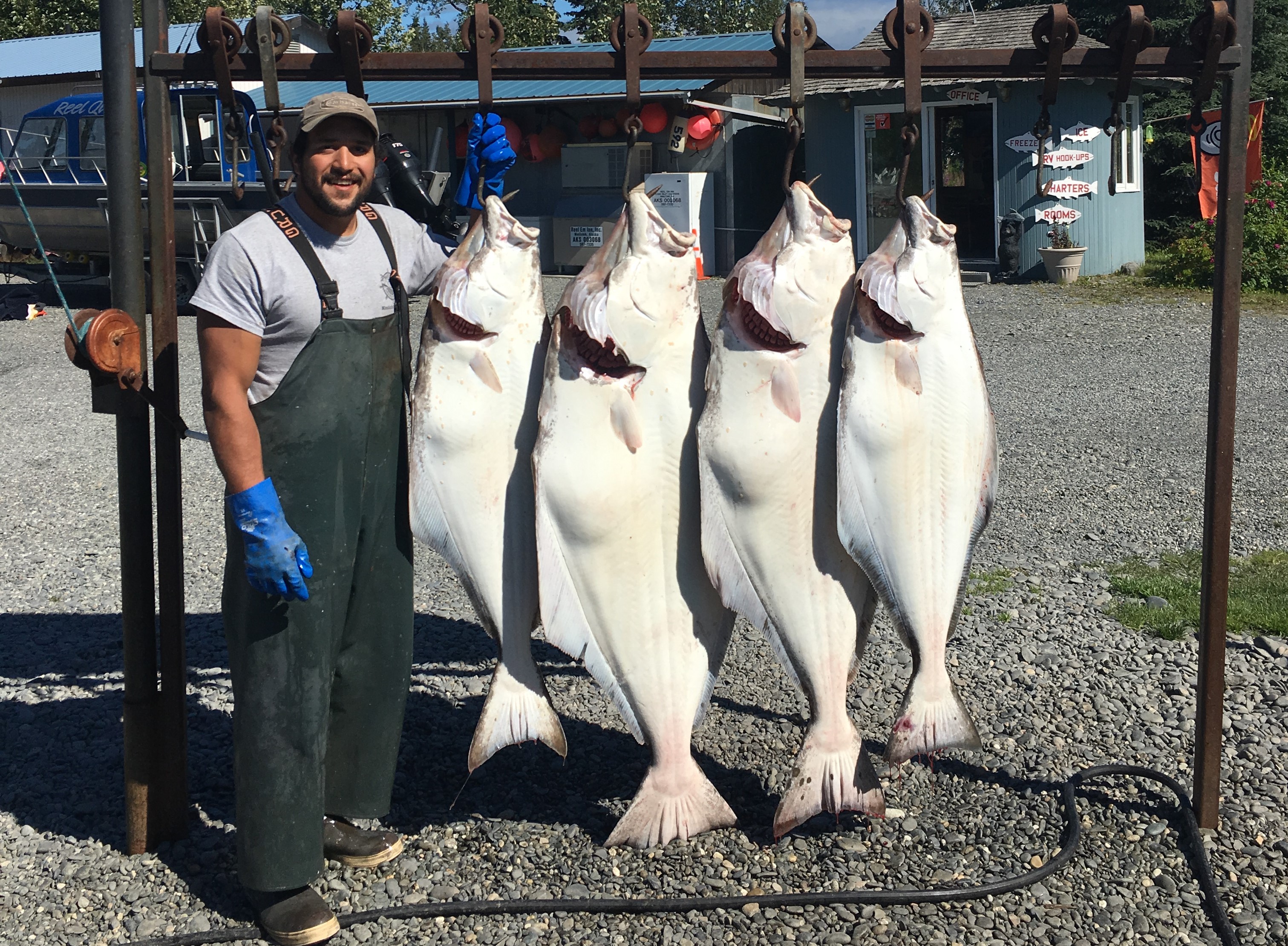 Halibut Charter Reel'em Inn, Cook Inlet Charters Reservations