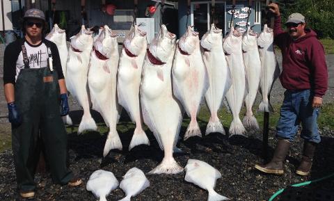 Halibut Charter