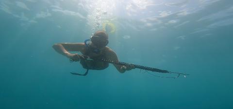 Spearfish Dive Tour | San Juan del Sur