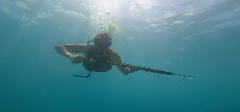 Spearfish Dive Tour | San Juan del Sur | Nicaragua