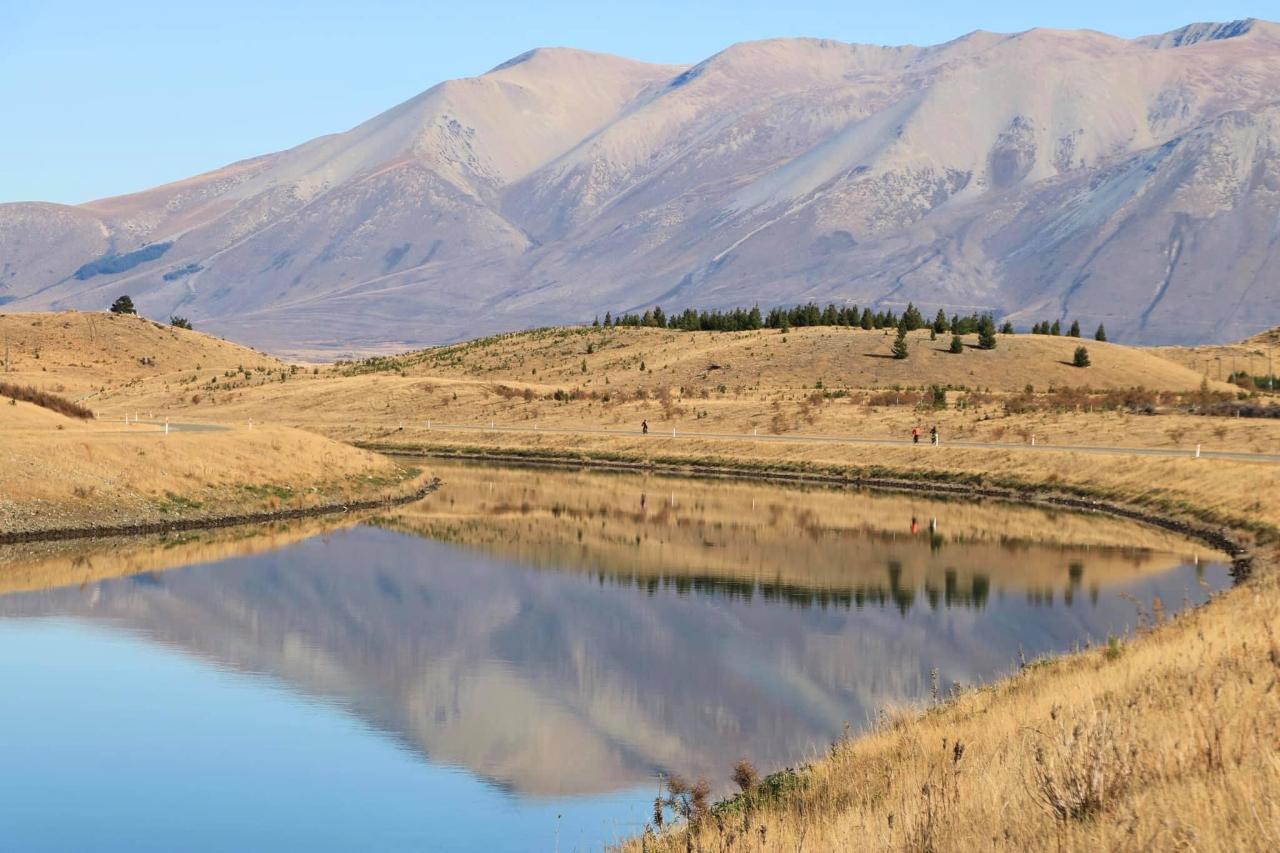 Top Half Plus 5 days - Depart Tekapo
