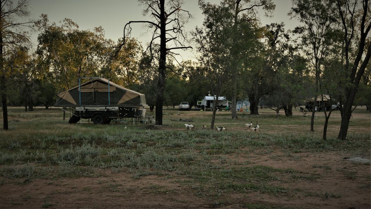 Camping Lightning Ridge