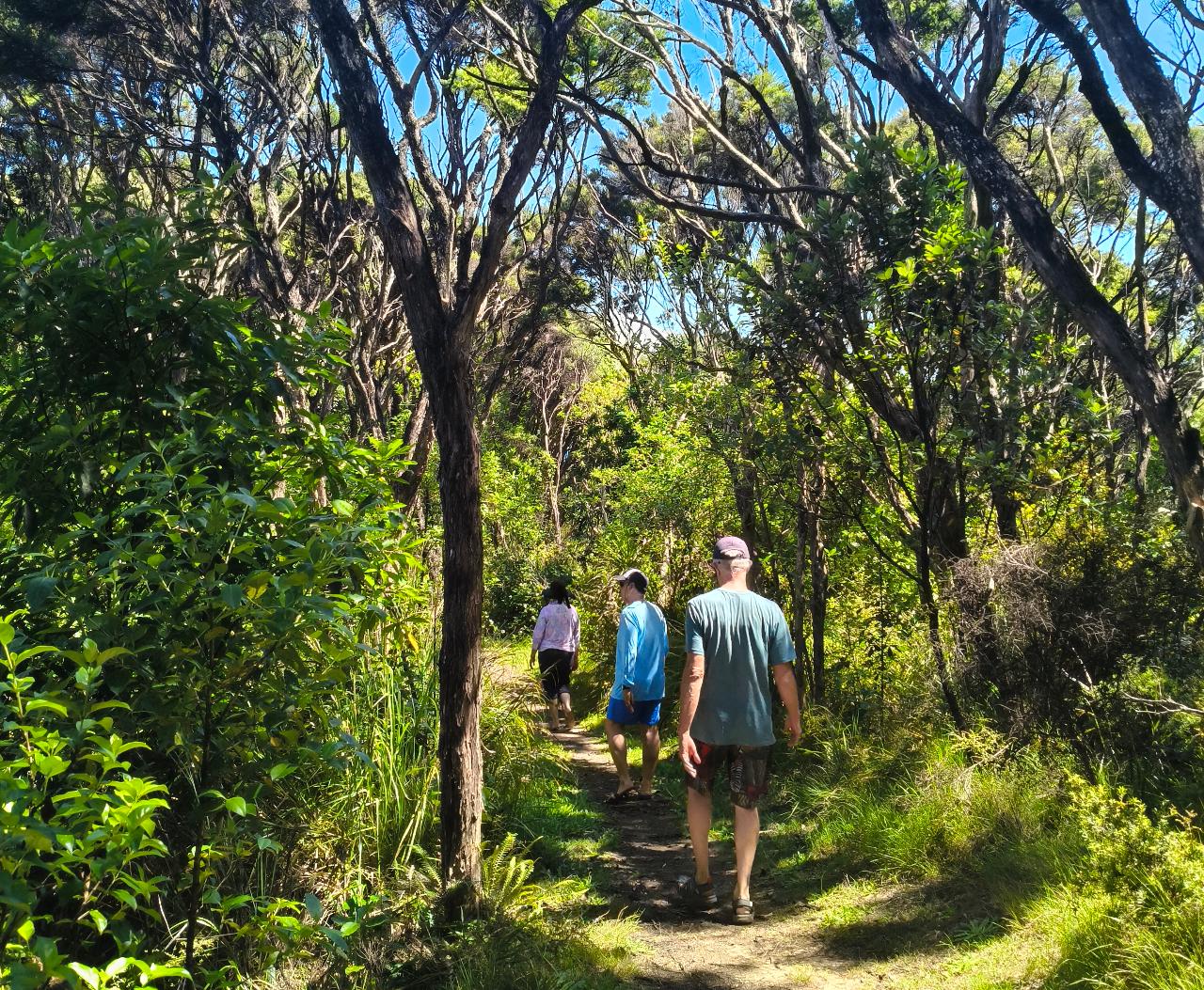 Private: Sail and Hike | 6-Hour Charter