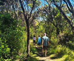 Private: Sail and Hike | 6-Hour Charter