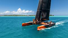 SPORT SHARED Half-Day Sailing