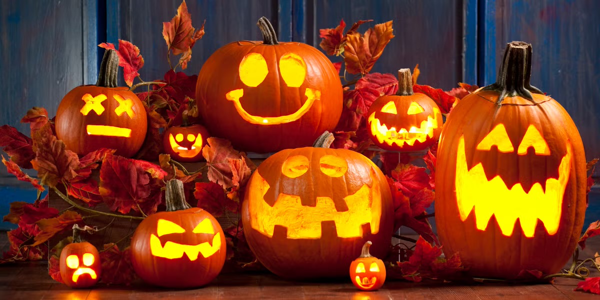 Pumpkin Patch Carve & Create: Family-Friendly Halloween Event