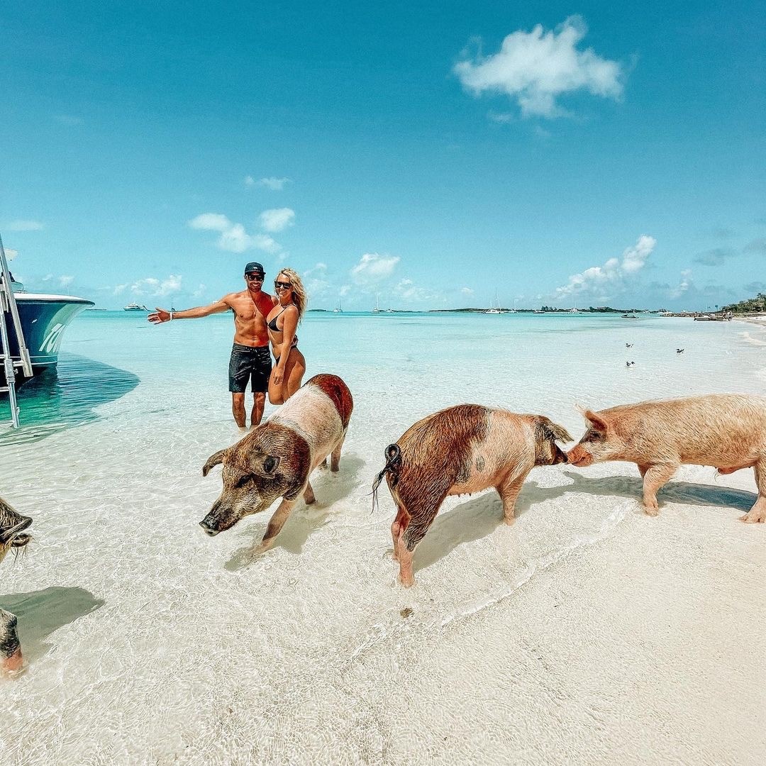 Exuma Full Day Swimming Pigs Group Tour Tour Daddy Intl Reservations