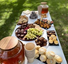 Bush Food Tour with Morning Tea