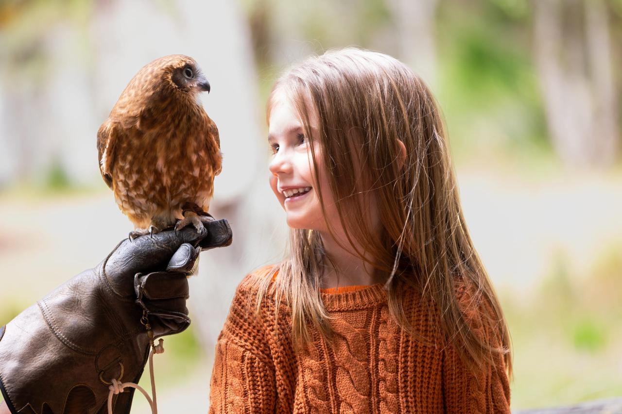 Bird of Prey Encounters and Forest Walk