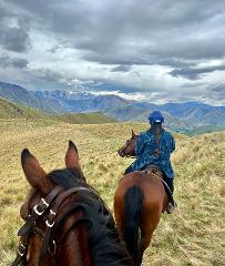 Pack Track Horse Trek