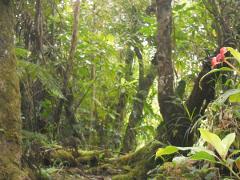 Shelter Trail Guided Tour 