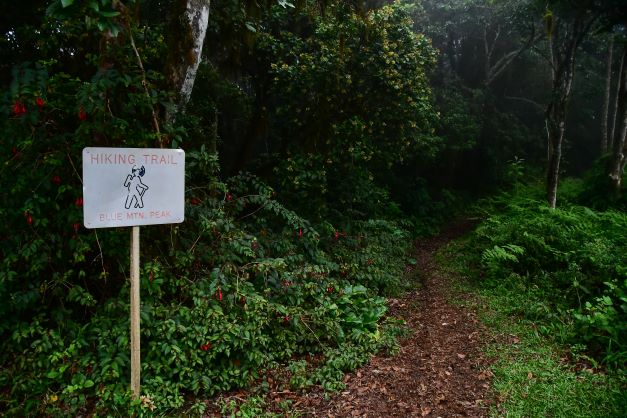 Blue Mountain Trail Pass- Resident Child