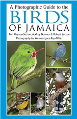 A Photographic Guide to the Birds of Jamaica 