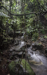 Waterfall Trail Guided Tour 