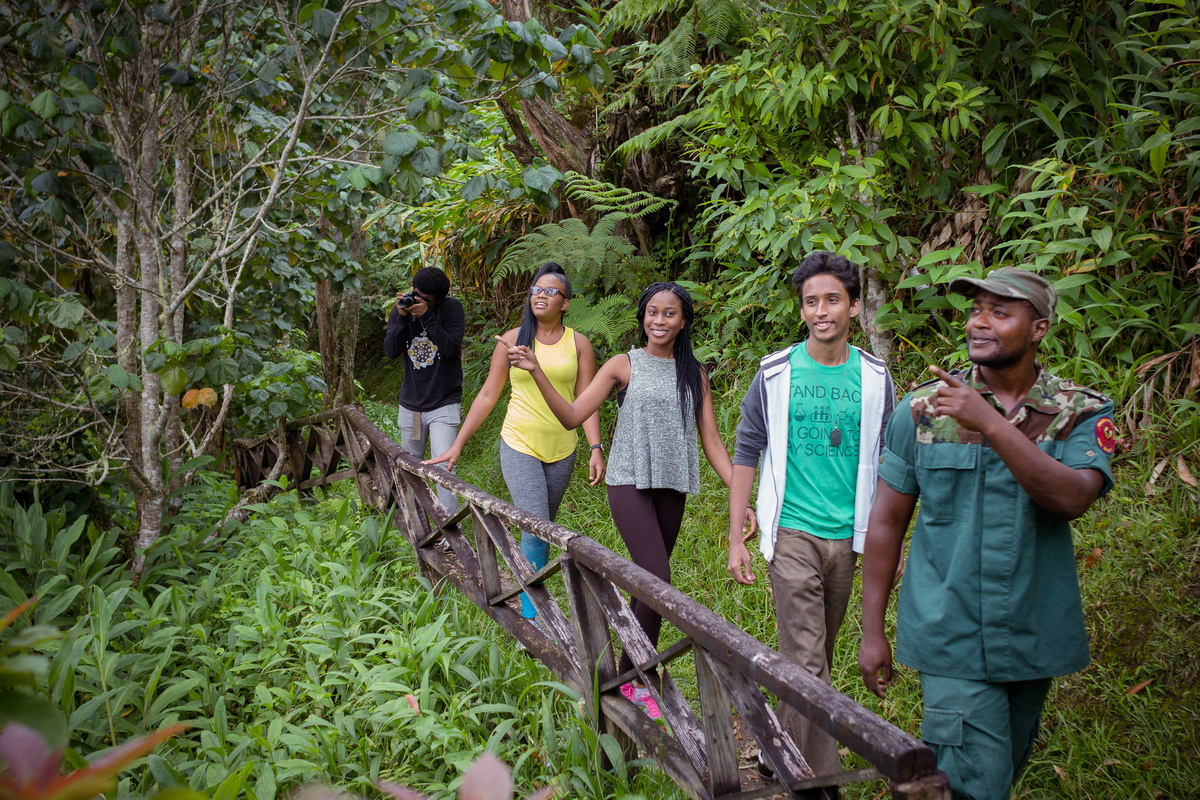 Blue Mahoe Trail Guided Tour 