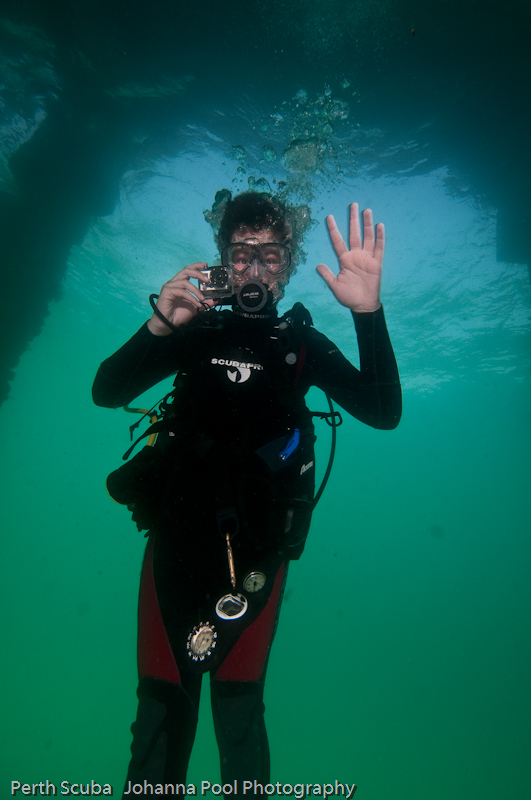 Discover Local Diving in Perth