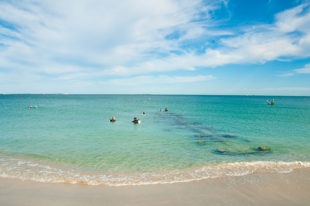 Discover Local Diving in Perth