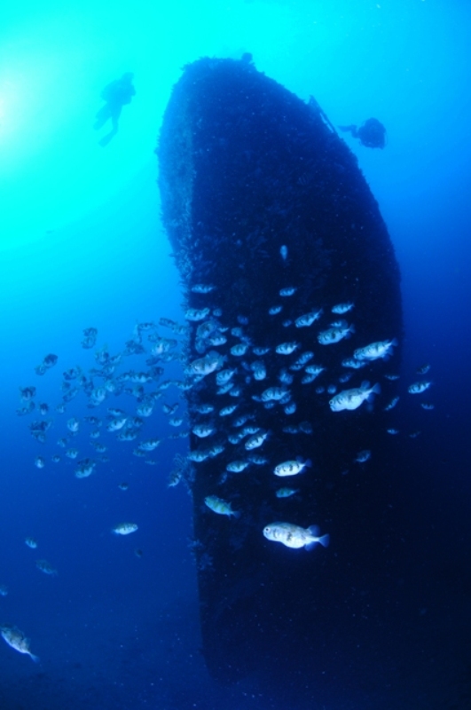 PADI Advanced Diver Course Perth Scuba Reservations