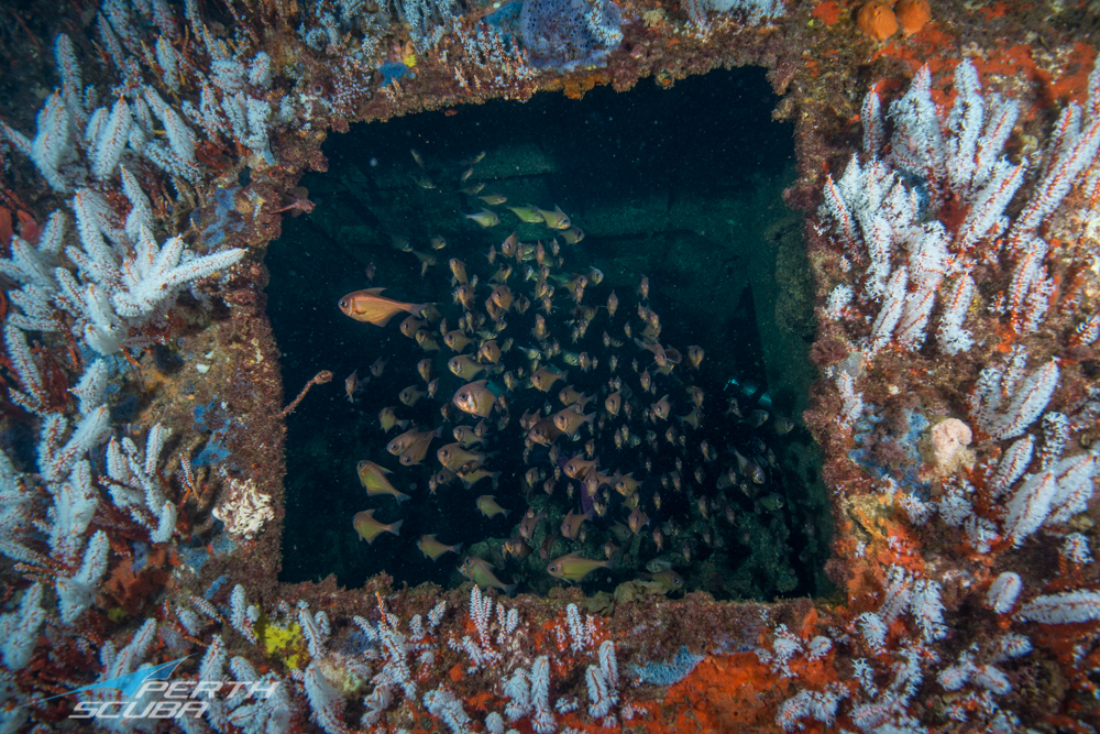 Lena Wreck Dive, Bunbury Perth Scuba Reservations