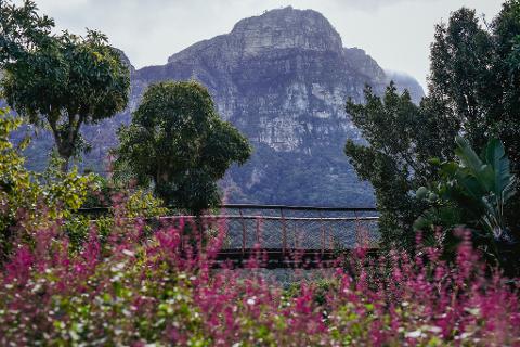 Kirstenbosch Botanical Garden and Constantia Wine Valley