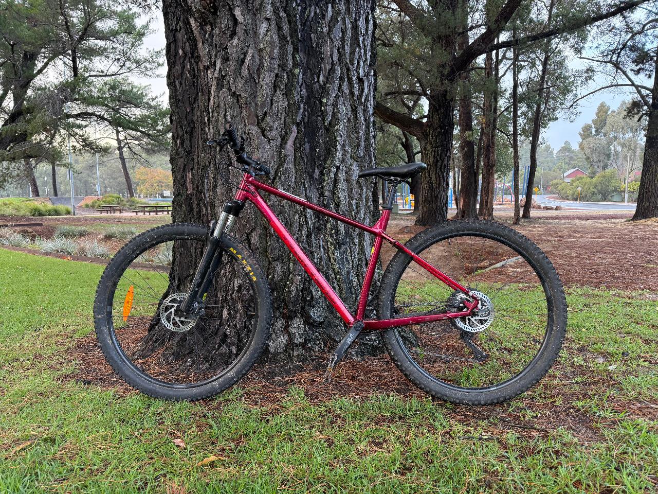 Bike Hire - 1 Day - Tier 2