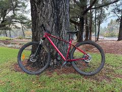 Bike Hire - 1 Hour - Tier 2