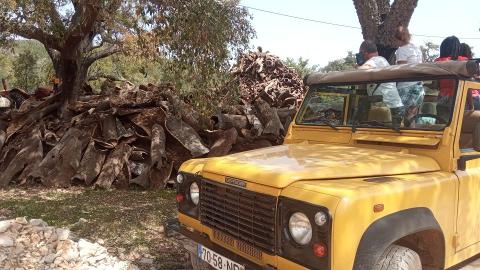 Full-Day Off-Road Jeep Safari without Lunch