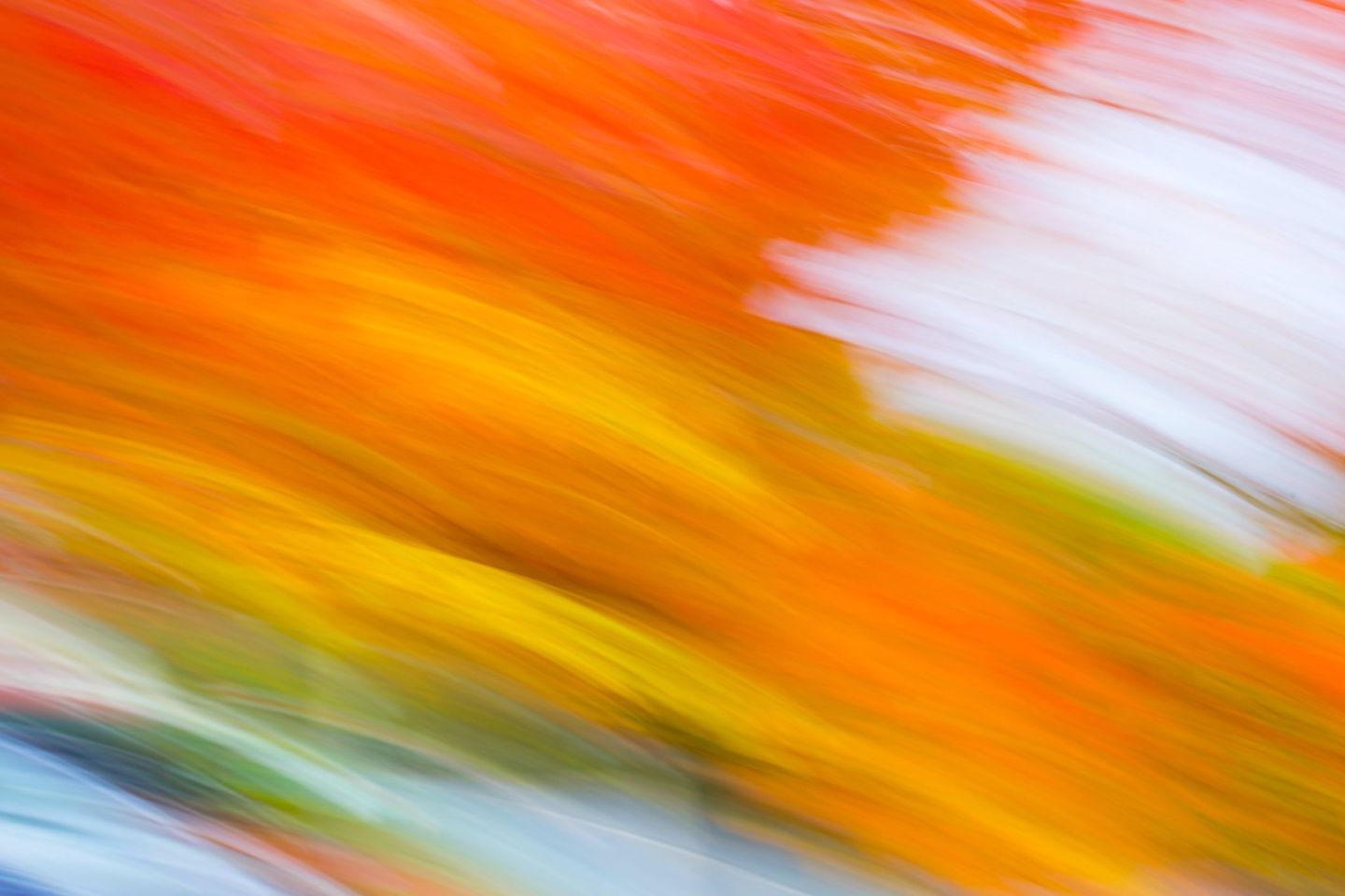 Hills in Color - Autumn Photography Workshop