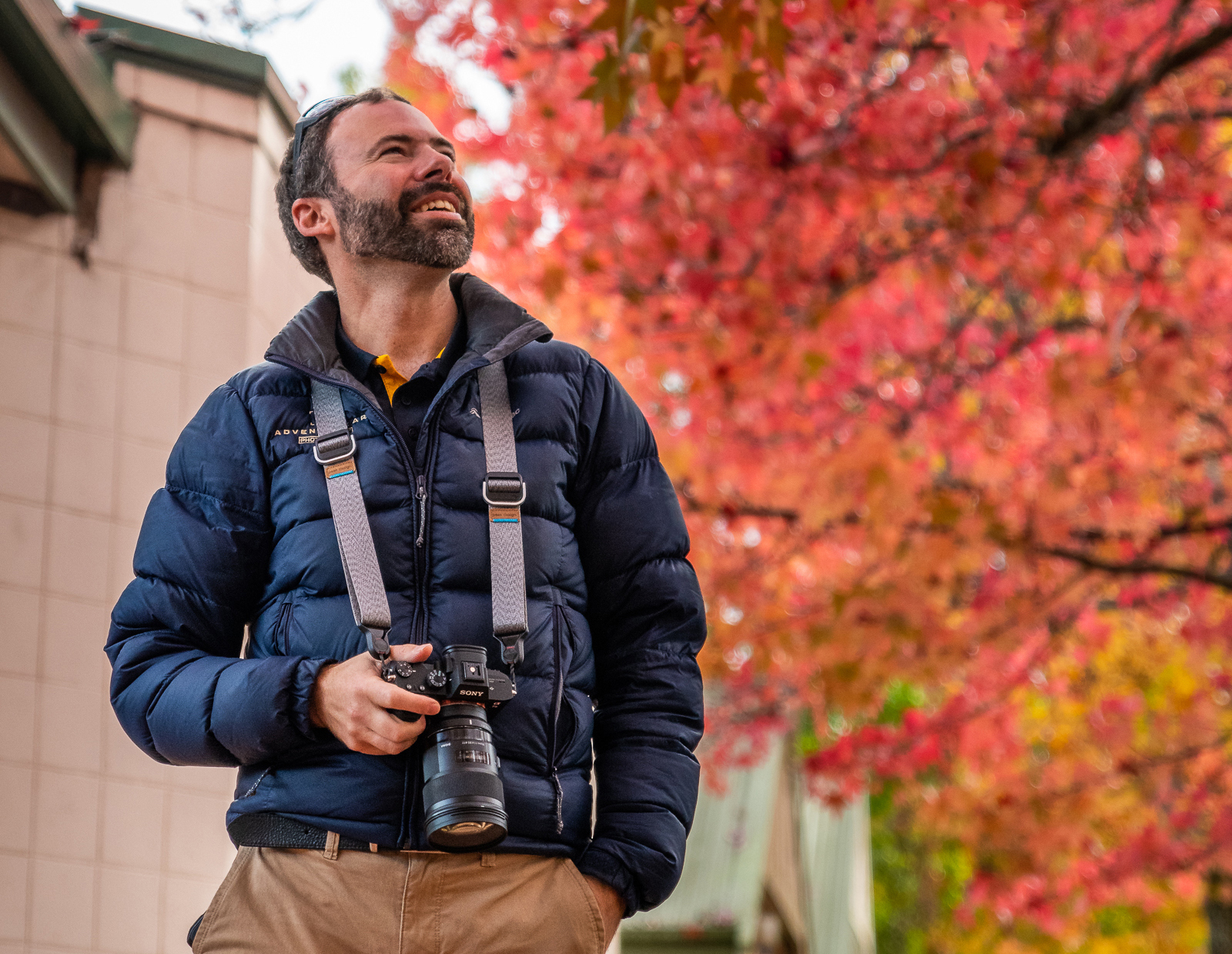 Guided Bird Photography Tour of Laratinga wetlands