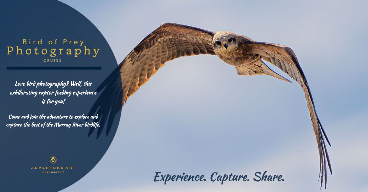 Birds of Prey Photography Cruise