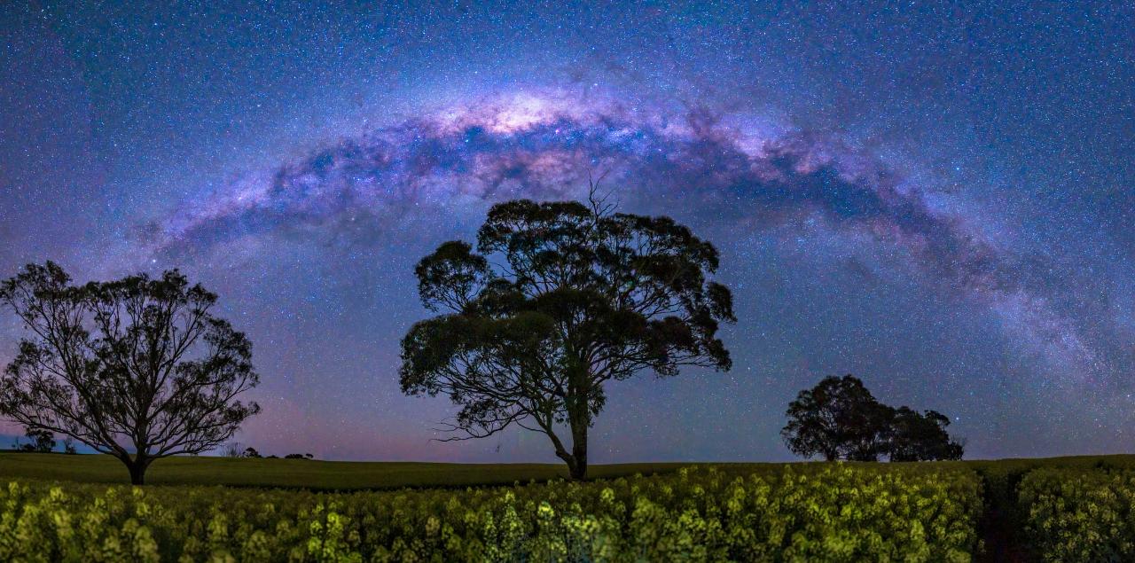 "Sky full of Stars"