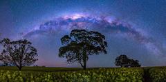 "Sky full of Stars"