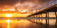 "Golden Glenelg" 