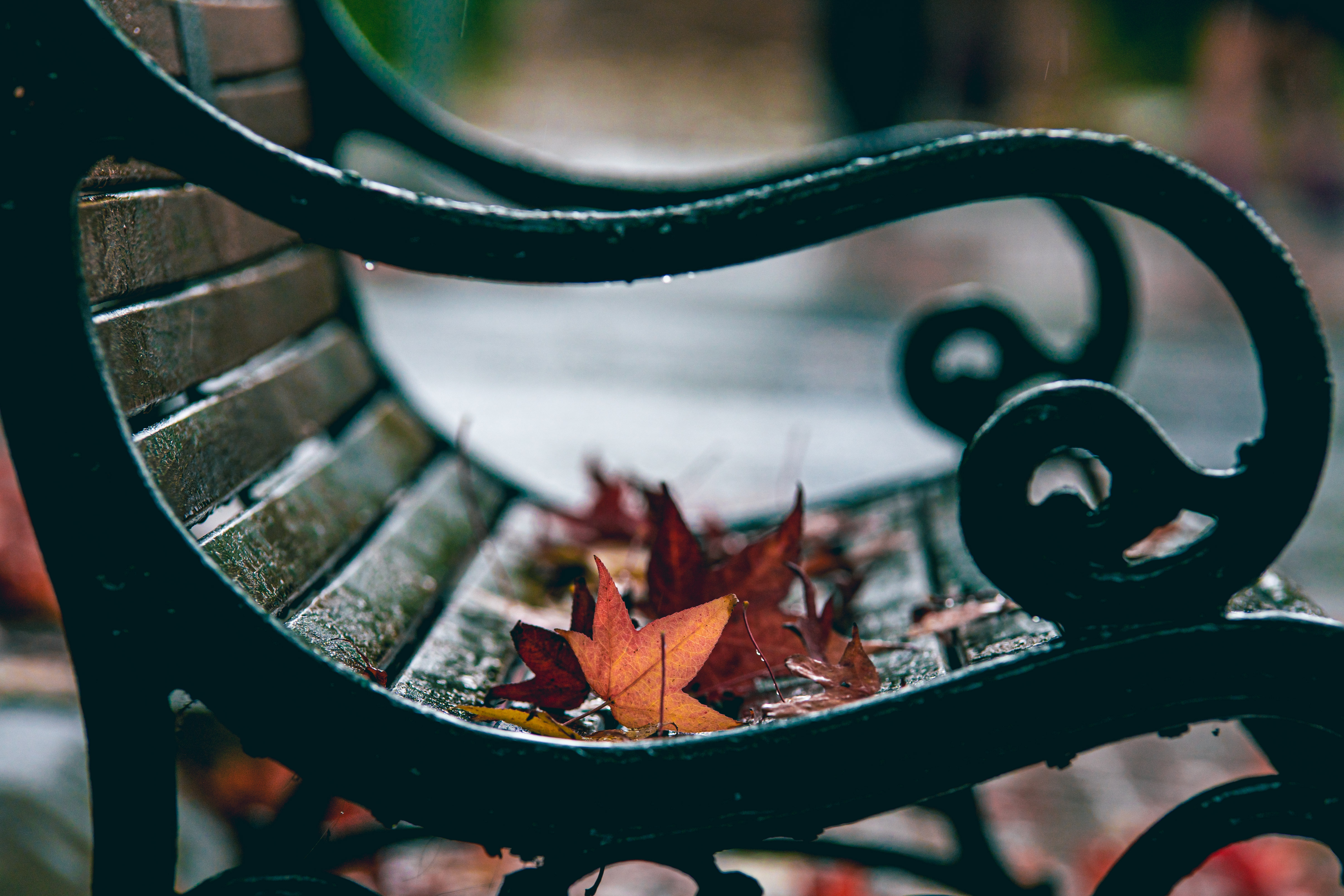 Hills in Color - Autumn Photography Workshop