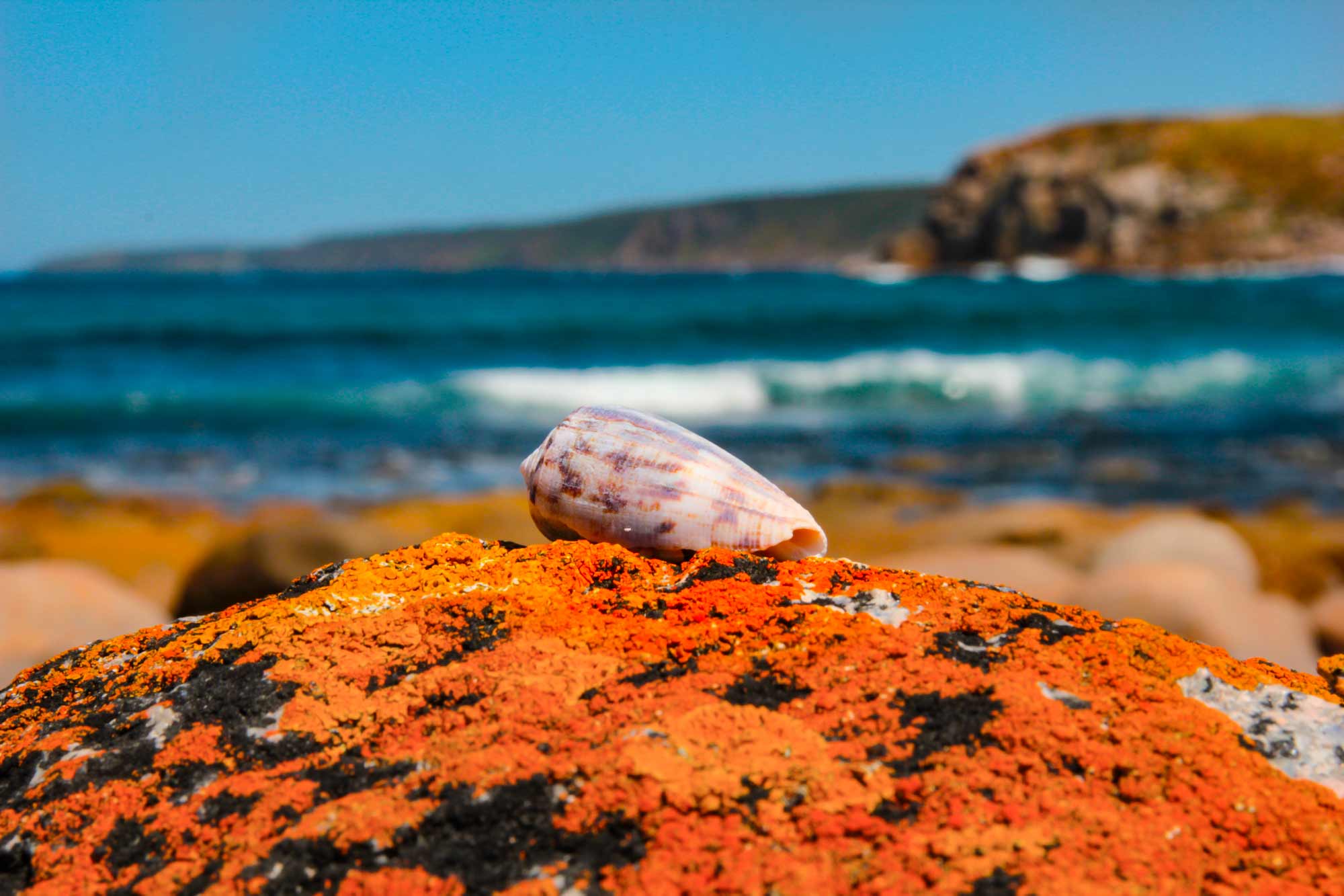 Kangaroo Island Photography Tour