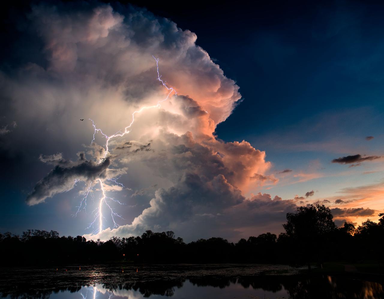 Kakadu Stormchasing & Wildlife Photography Adventure 